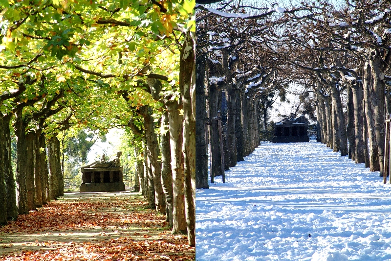 Denkmal_Paula_Modersohn_Sommer_Winter.jpg