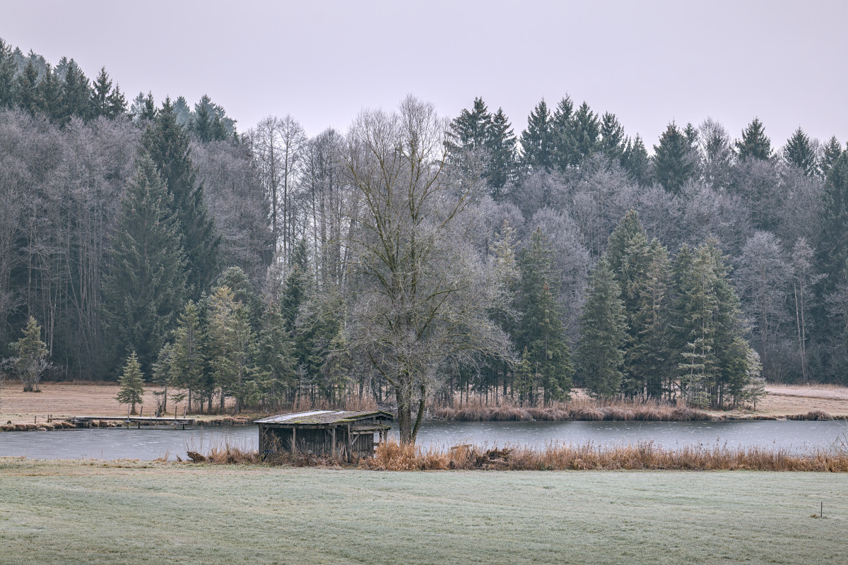 p1024132a_1200x800pxw0d86.jpg