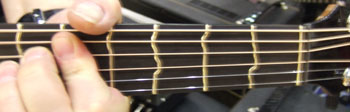 sanden-vrb-c-tt-fretboard.jpg