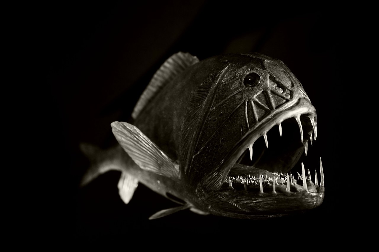 another_deep_sea_fish_by_roswell1947-d3heraf.jpg