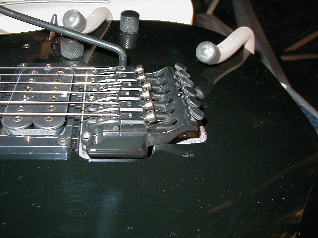 P1010027.JPG