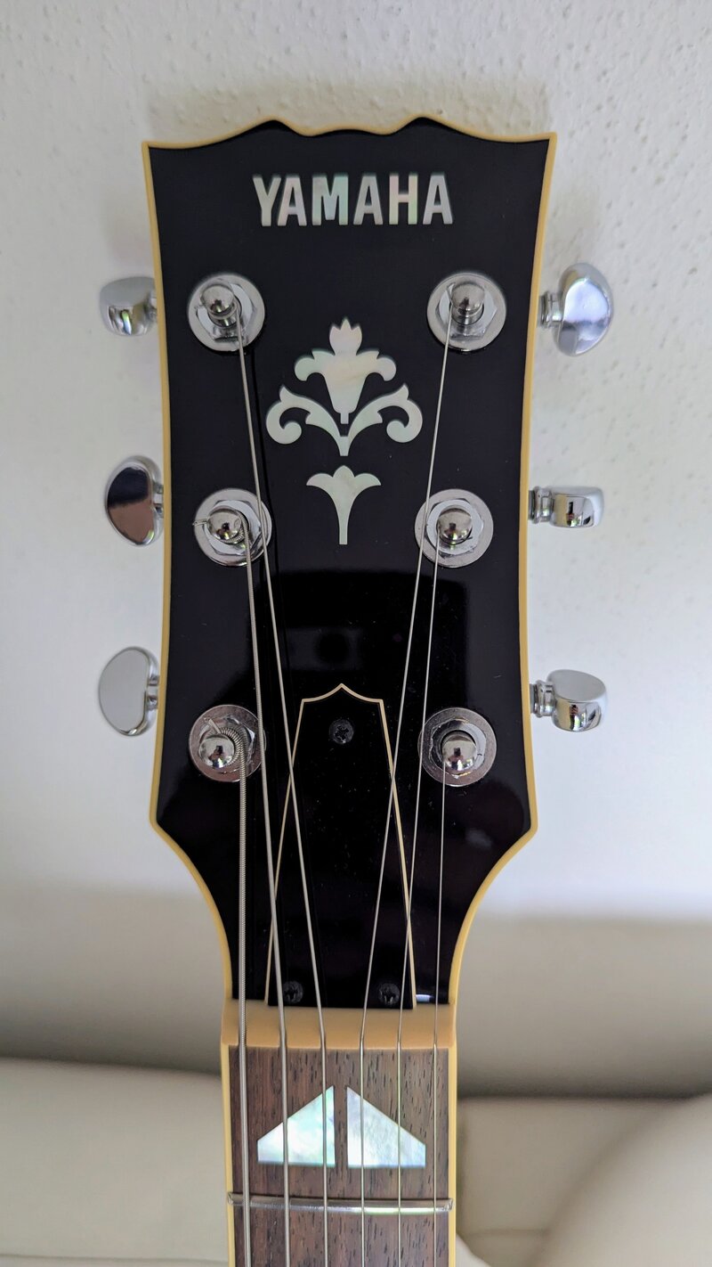 50054765zp.jpg