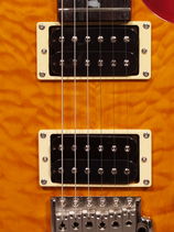 25CU24-VY_pickups_sm_.jpg