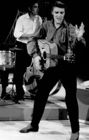 elvis_narrowweb__300x471,0.jpg