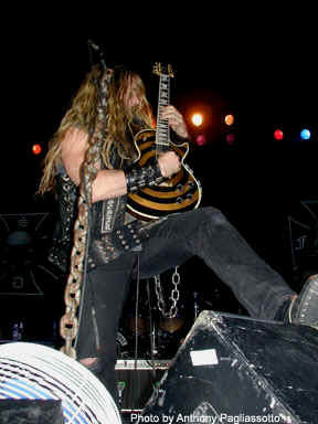 BLS-shred.jpg