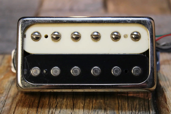 zebrahumbuckeropennic5vj4t.jpg