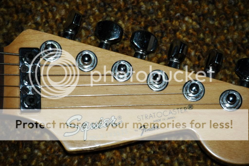 D70PinkRoseandFenderSystem1Tremolo040.jpg