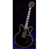 instElectric_GuitarsGibson_BB_King_Lucille-resized200.jpg