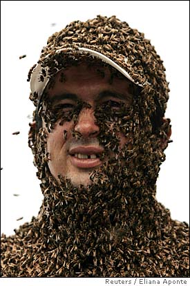 bees-beard.jpg