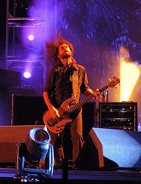460px-Justin_chancellor_tool_roskilde_festival_2006_cropped.jpg