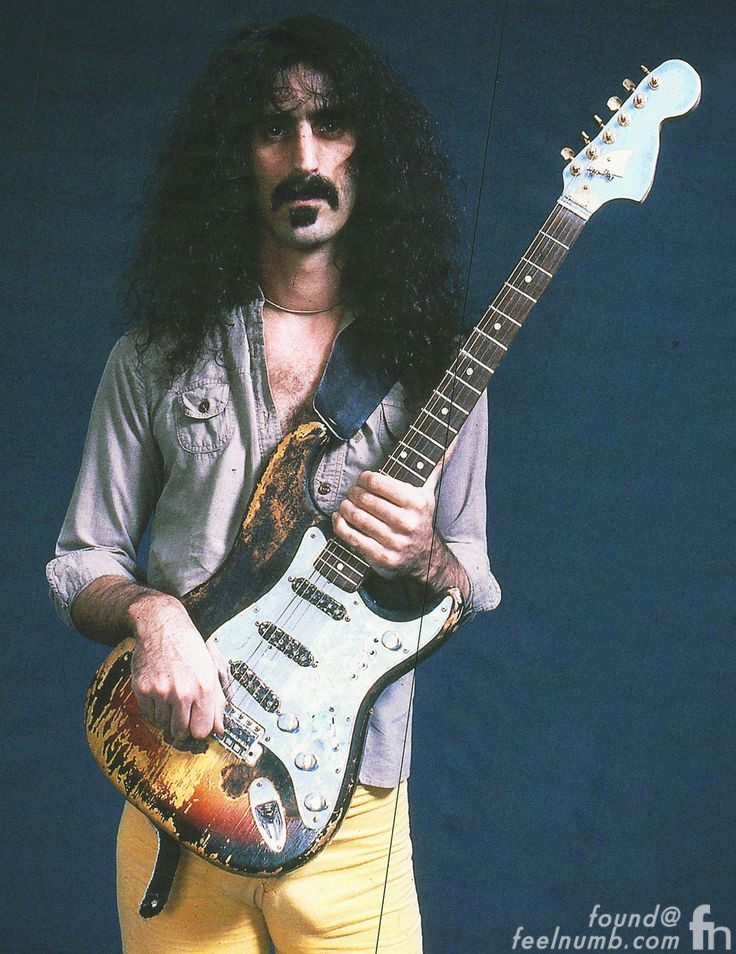 frank-zappa-jimi-hendrix-burnt-guitar-fender-stratocaster.jpg