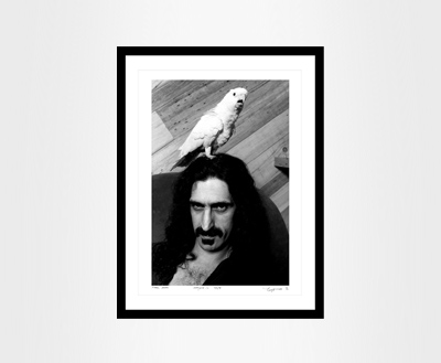 21_DLC121_Frank-Zappa.jpg
