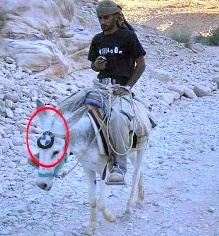 BMW-Donkey.jpg