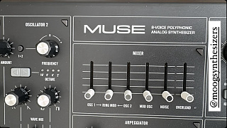 Moog Muse 8 Voice Analogue Synthesizer-img_2130.jpeg