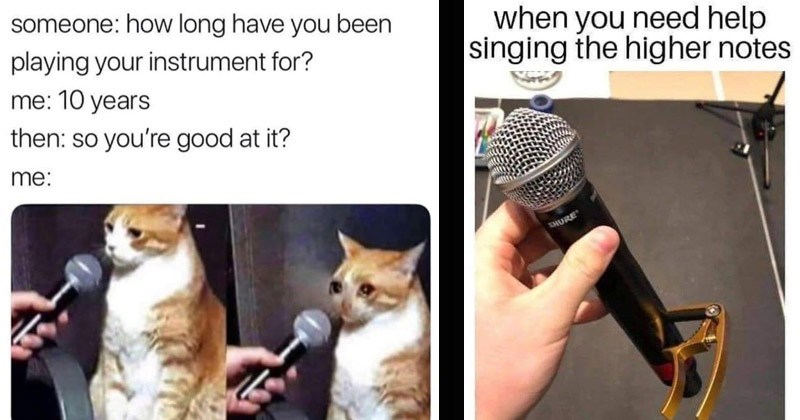 10-years-then-so-good-at-crying-cat-being-interviewed-need-help-singing-higher-notes-shure