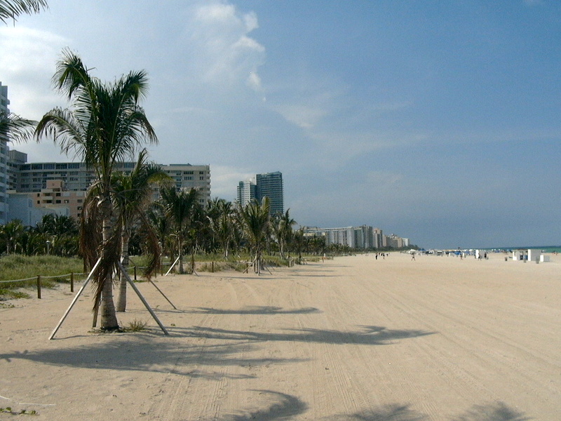 Miami%2520025.jpg