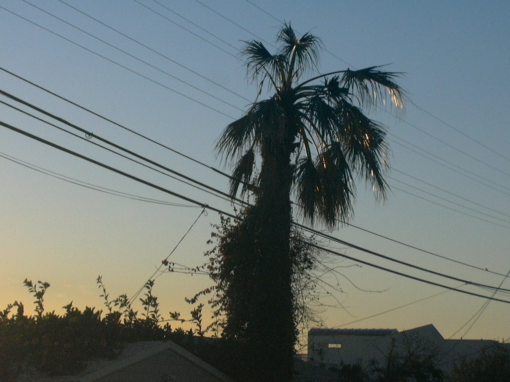maliburoad05.jpg