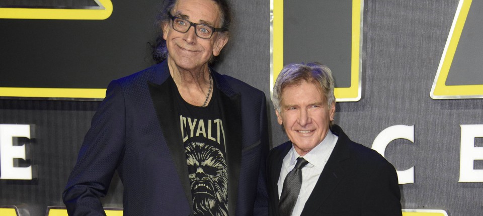 2-21-meter-peter-mayhew-neben.jpg