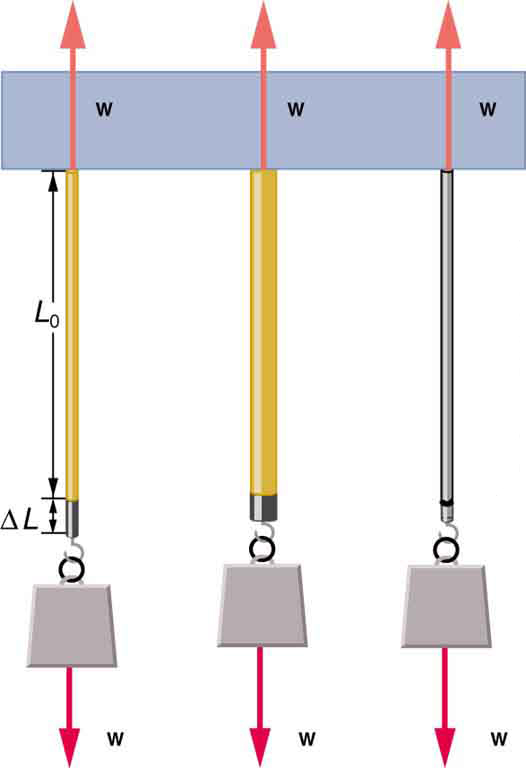 Figure_06_03_02a-1.jpg