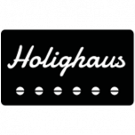 www.holighaus-pickups.de
