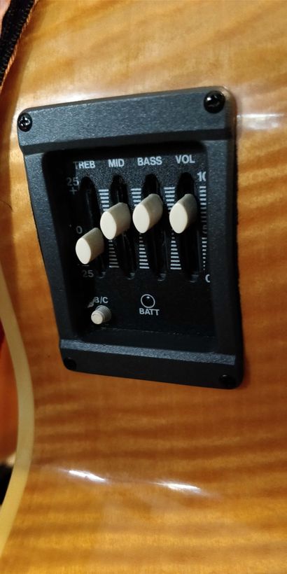 csm_Aria--Elecord--FEB-DLX--Bass--Semi-Accoustic--Side-View-Pre-Amp-Tuner--Flamed-Fiddleback-Maple_f33f994883.jpg