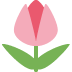 Tulpe :tulip: 🌷