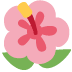 Hibiskus :hibiscus: 🌺