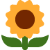 Sonnenblume :sunflower: 🌻