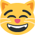 Grinsende Katze mit lächelnden Augen :smile_cat: 😸