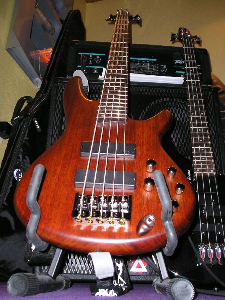 Ibanez SR505 Saitenaufhängung