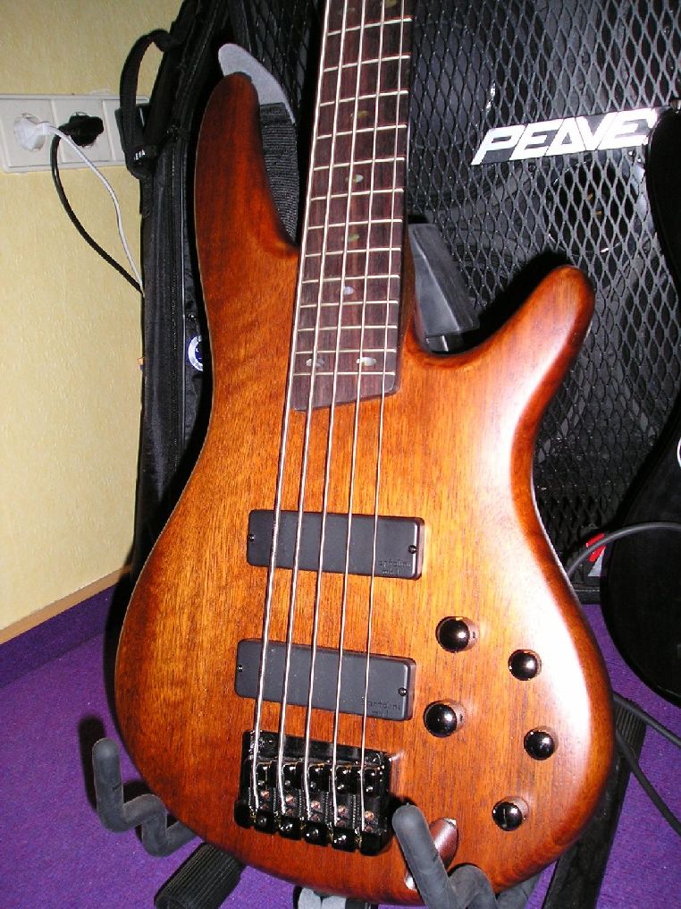 Ibanez SR505 Body