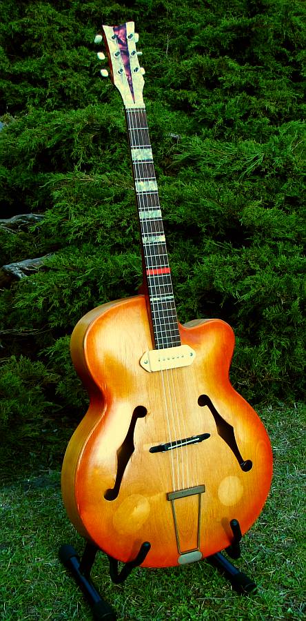 97478d1237334373-bilder-euren-akustikgitarren-park3.jpg