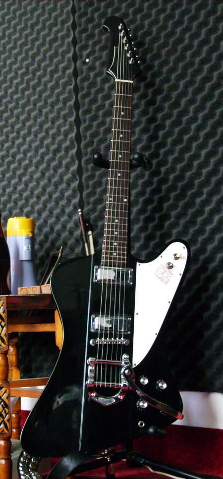 100956d1240605935-schickt-mal-bilder-eurer-gitarre-part-ii-firebird.jpg