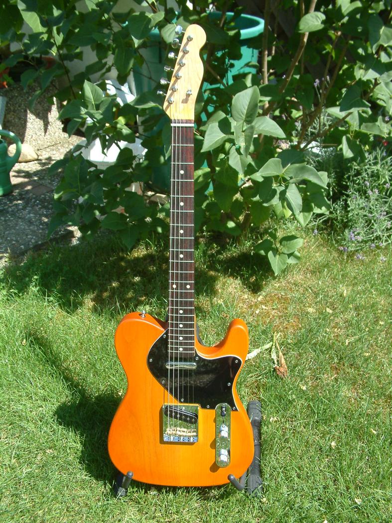 80432d1215270534-rockinger-telecaster-bauprojekt-dscf0449.jpg